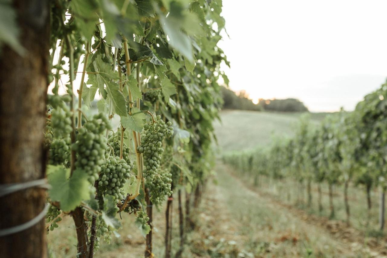 Perelli Winery Villa Bucine Luaran gambar
